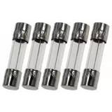 1269720 | Fuse for Lakewood Instruments - 10A - 250V - Fast - 3AB - Set of 5