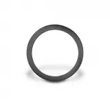 204038 | 1 inch Viton Gasket for EchoPod