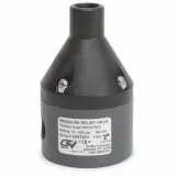 PRG2-100 | 2 Port G-Series Pressure Relief Valves - 1 inch