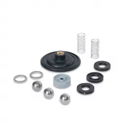 SP-77 | Liquid End Rebuild Kit - Legacy LMI