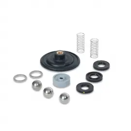 SP-75V | Liquid End Rebuild Kit - Legacy LMI
