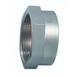 3014631 | Nut for Autotrol 1TM - 1 Inch NPT SS
