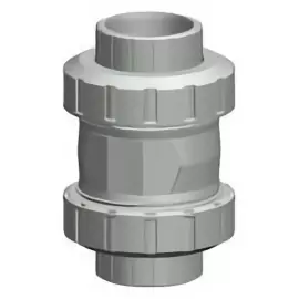 163.561.110 | 4 - 561 Cone Check Valve Socket/Threaded NPT - CPVC/EPDM
