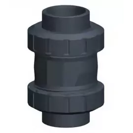 161.561.104 | 1 - 561 Cone Check Valve Socket/Threaded NPT - PVC/EPDM