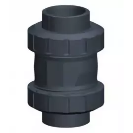 161.561.112 | 1/2 - 561 Cone Check Valve Socket/Threaded NPT - PVC/FKM