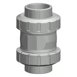 163.562.119 | 3 - 562 Cone Check Valve Socket/Threaded NPT - CPVC/FKM