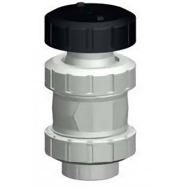 163.591.104 | 1 - 591 Vent/Vacuum Breaker Valve Socket/Threaded NPT - CPVC/EPDM