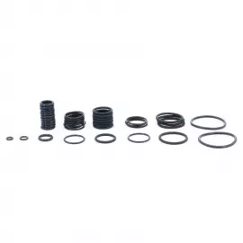 OR21-I | O-Ring Kit - 1/2 in Module - Viton