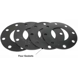 104036-10 | Gasket Kit, Flanged Magmeter, NSF, 10"