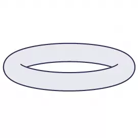 39413 | O-RING, 0.364 ID,POLYPREL