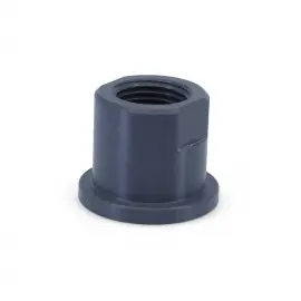 CO42-D | Pipe Connector - threaded PVDF - 1 in FNPT