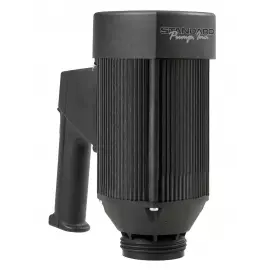 Standard Pump Motors